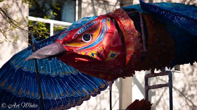 Procession of the Species 2025