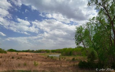 Landscapes