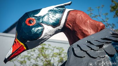 Procession of the Species 2025