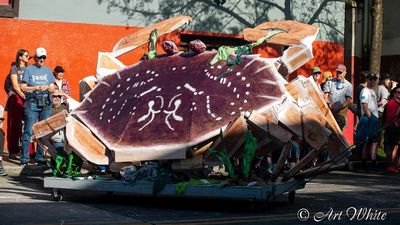 Procession of the Species 2025
