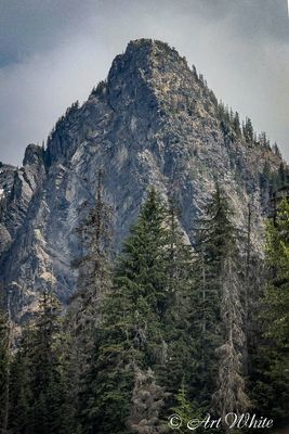 Landscapes