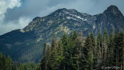 Landscapes