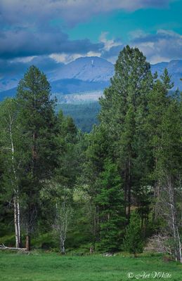 Landscapes