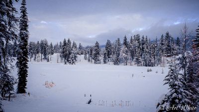 Landscapes