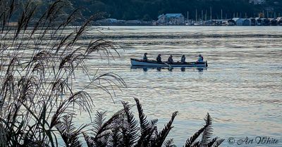 Seascapes