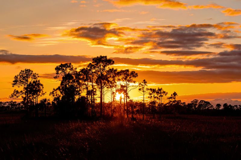 Big Cypress National Preserve 