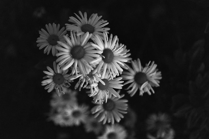 w-DSCF0481.jpg
