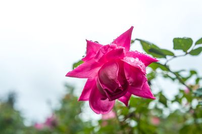w-L1000097i.jpg