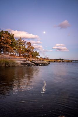 w_DSC0489.jpg