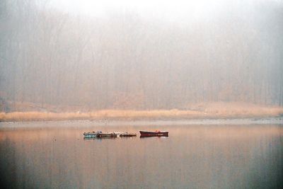 Winter in NY