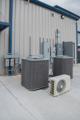 kfp_3556_1.jpg