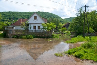 Jsvafő 03