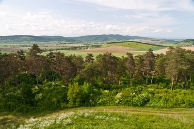 Szendrő 05