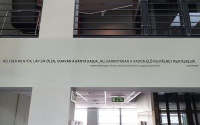 g13/37/699437/3/175321389.f66a1cc4.JPEG