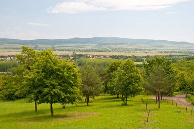 Füzérkomlós, Füzér, Gibárt, Mikóháza and Hollóháza