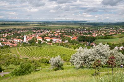 Tarcal és Tokaj - Tarcal and Tokaj