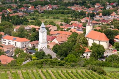 Tarcal és Tokaj - Tarcal and Tokaj