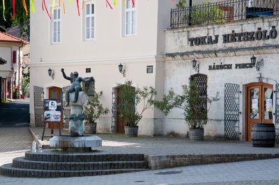 Tokaj 12