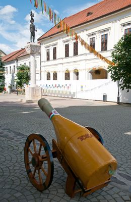 Tarcal s Tokaj - Tarcal and Tokaj