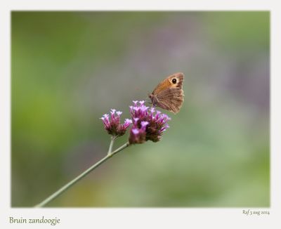 _8039842pb_DxO.jpg