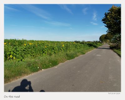 _A260374pb_DxO.jpg