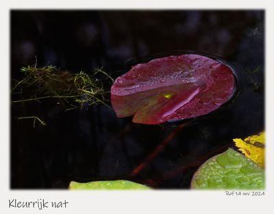_B140434_DxO.jpg