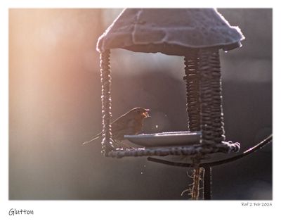 _2021332pb_DxO.jpg