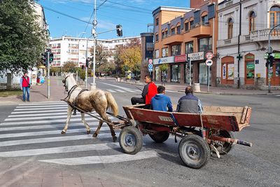 Gipsies with horse carriage cigani s konjsko vprego_20221030_103823-111.jpg