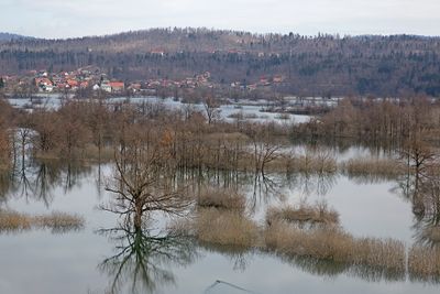 Autumn flood jesenska poplava_MG_8988-111.jpg