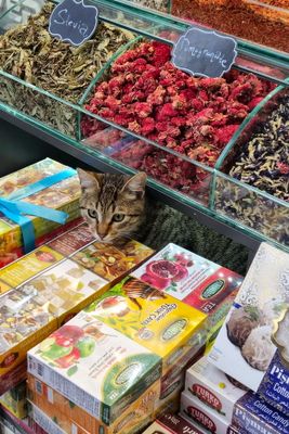 turkey_istanbul