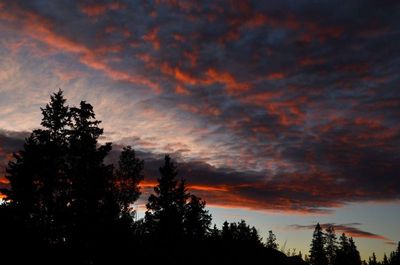 first light