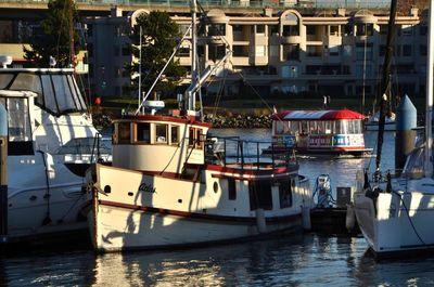 boats