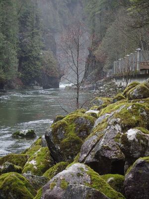 g13/37/770137/3/173366634.40d2b311.JPEG