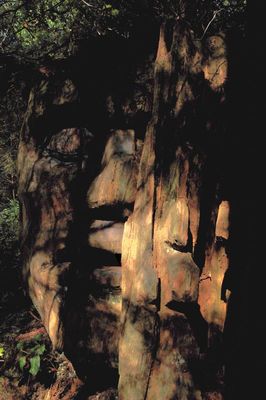 spirits