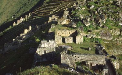 Inca