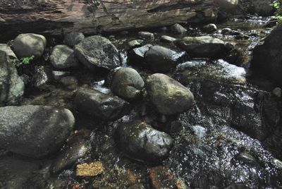 runoff