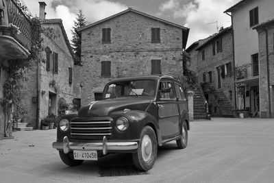 topolino