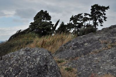 Saxe Point