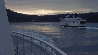g13/37/770137/3/174830246.9eb0a9c7.JPEG