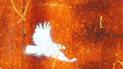 the eagle lands