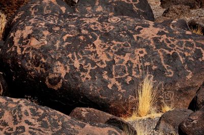 petroglyphs