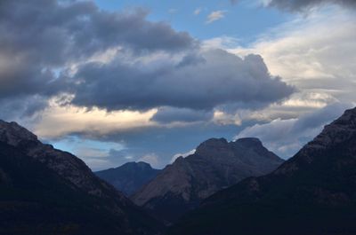 life in the troposphere