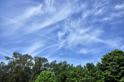life in the troposphere