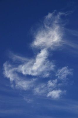 life in the troposphere