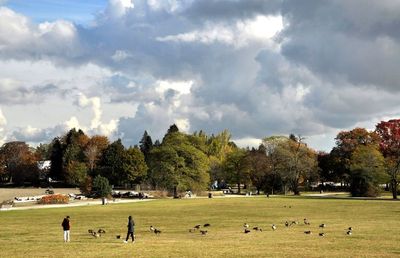 jericho beach park cont'd
