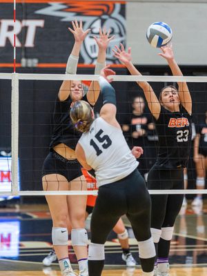25vbfindlay_95.jpg