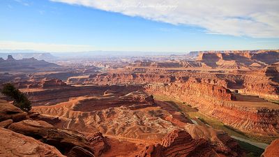 IMG_0081.jpg