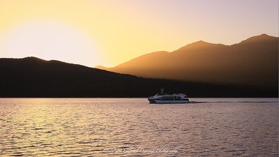 IMG_1260.jpg