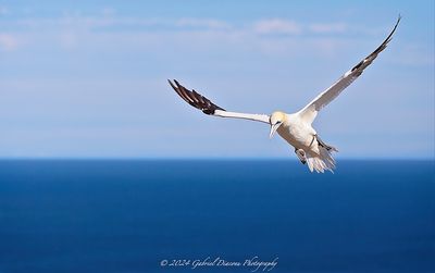 IMG_7134.jpg