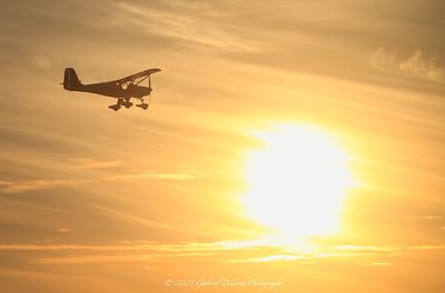 IMG_2955.jpg